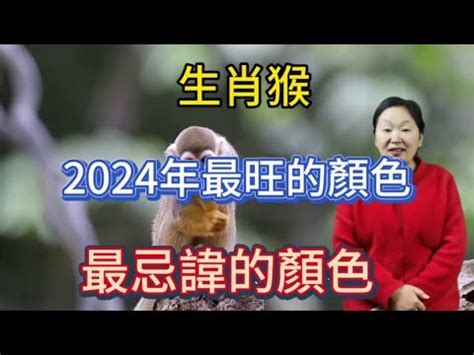 屬猴幸運色|【猴幸運色】2024猴好運滾滾來！掌握幸運色秘招，旺運一整。